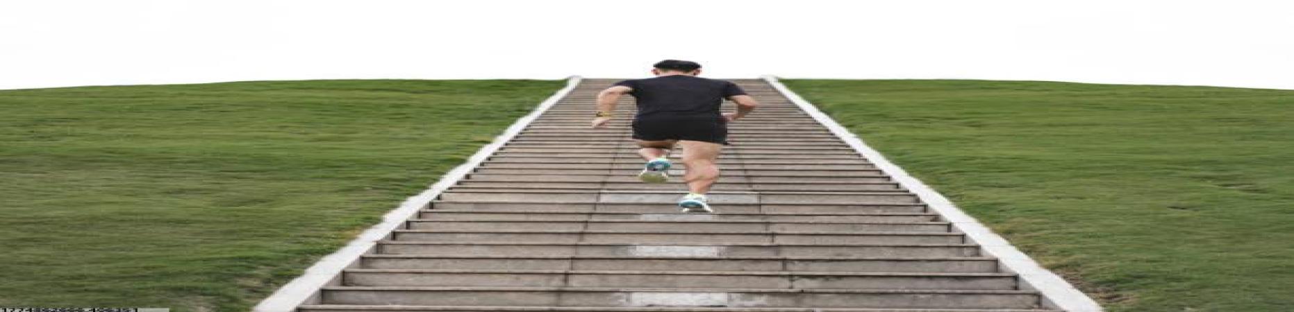 世界杯官方入口体育界独家内幕报道案